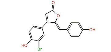 3'-Bromorubrolide E